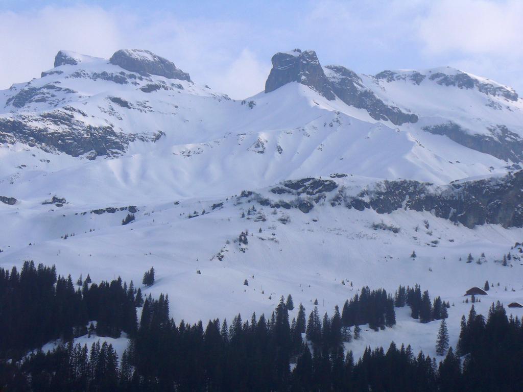 Pour l'image suivante