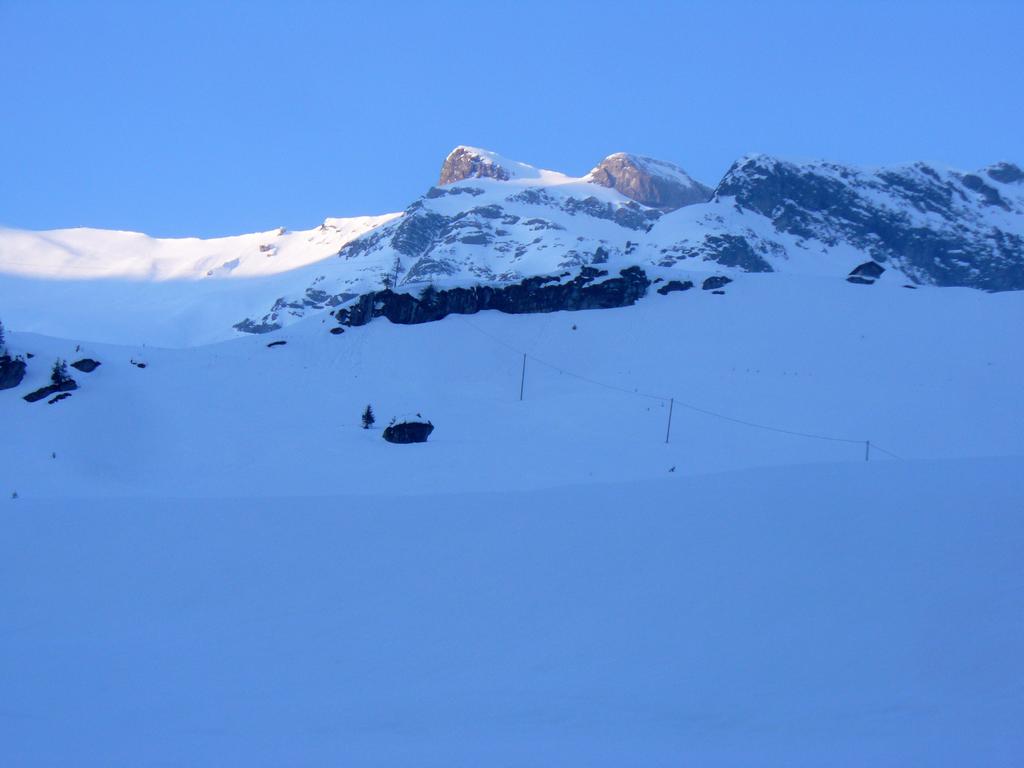 Pour l'image suivante