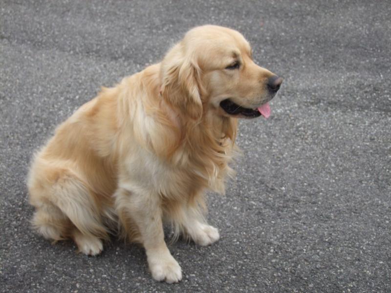 Pour l'image suivante