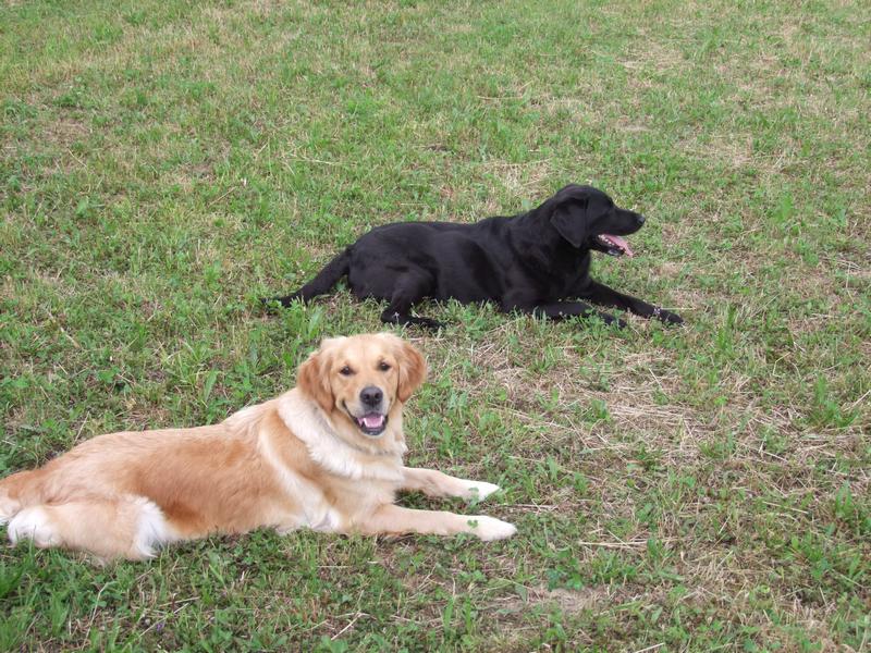 Pour l'image suivante