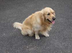 Pour agrandir l'image (800x600 pixels; 130 KB)