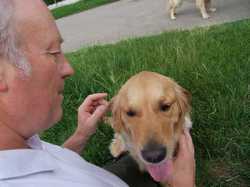 Pour agrandir l'image (800x600 pixels; 102 KB)