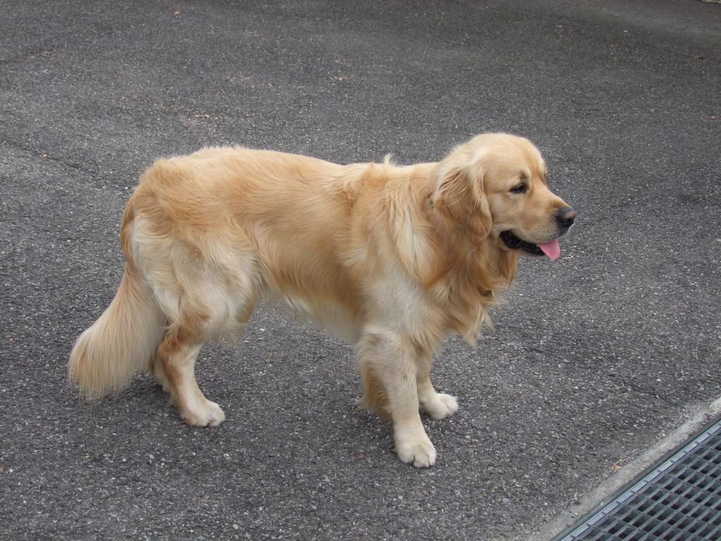 Pour l'image suivante