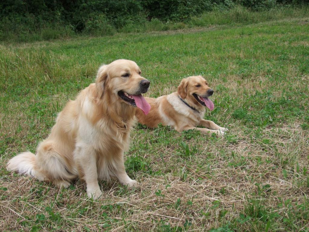 Pour l'image suivante