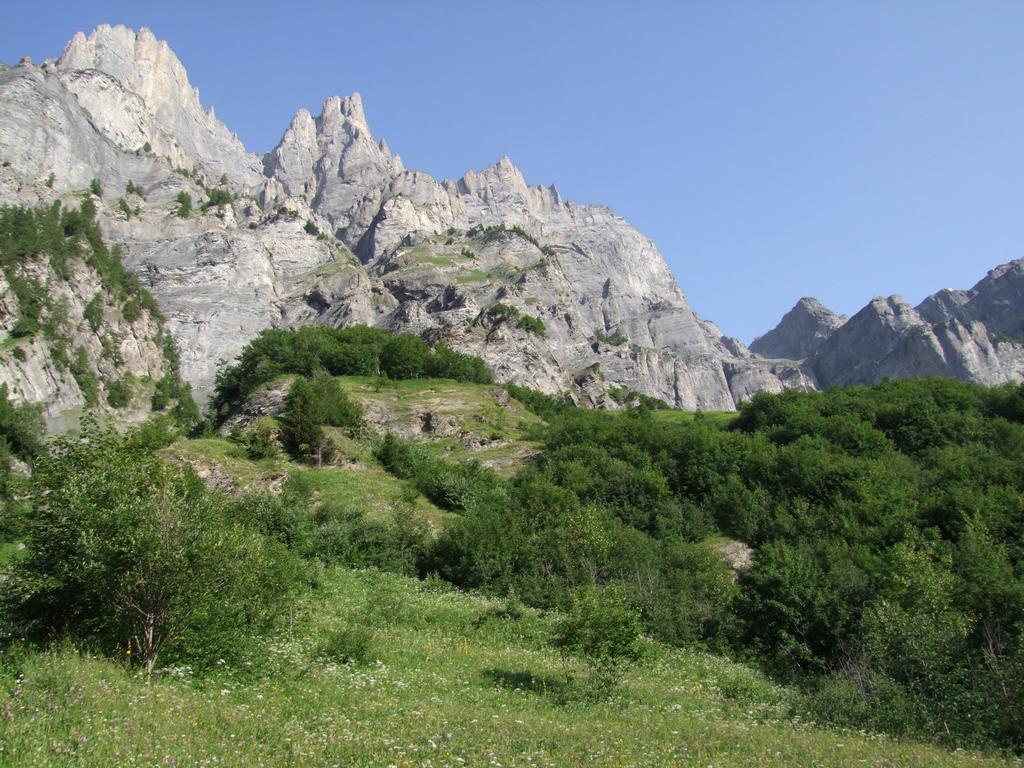 Click to see next picture