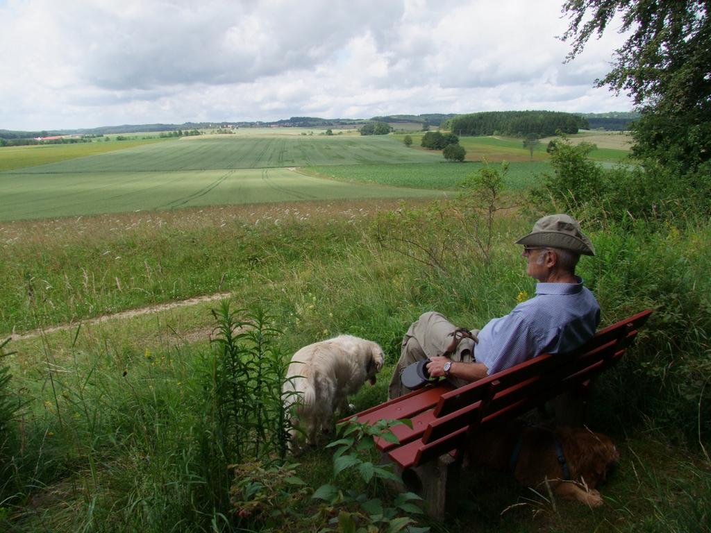 Pour l'image suivante