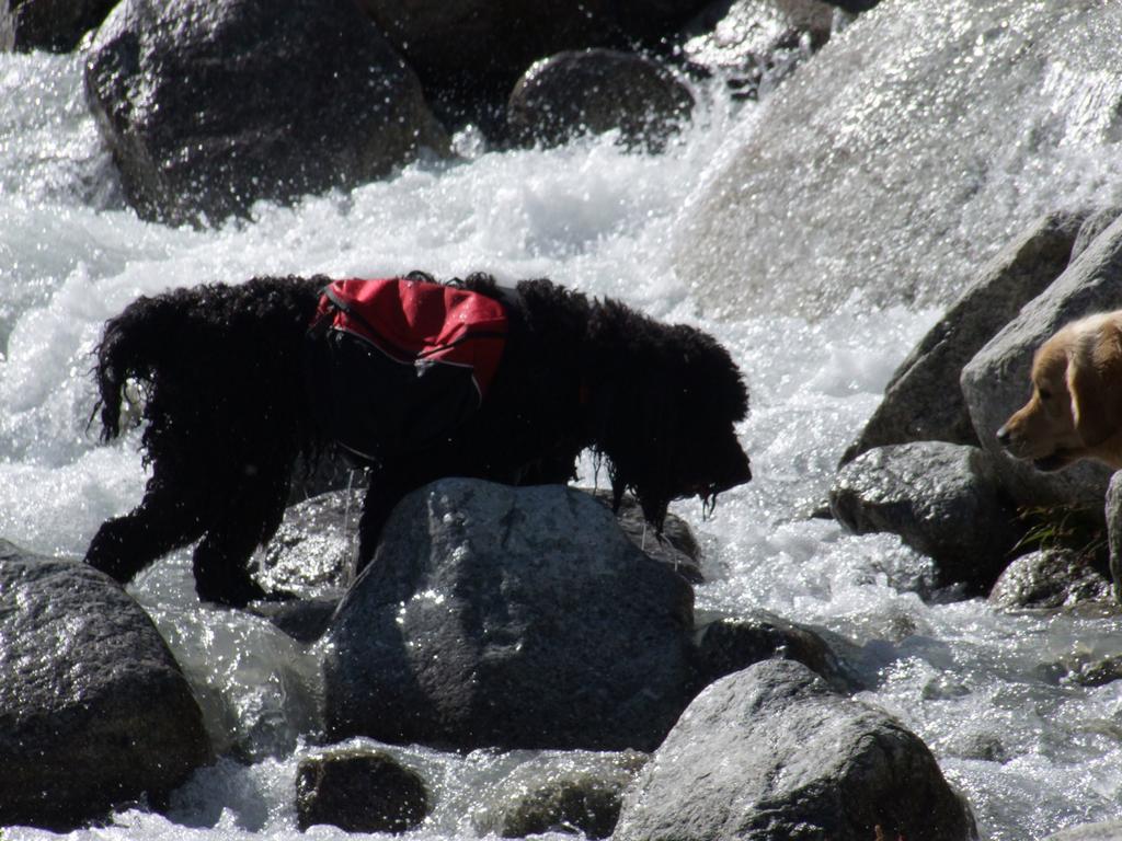 Pour l'image suivante