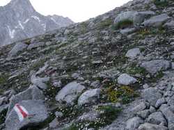 Pour agrandir l'image (1024x768 pixels; 222 KB)