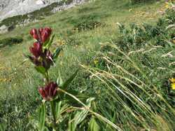 Pour agrandir l'image (1024x768 pixels; 224 KB)