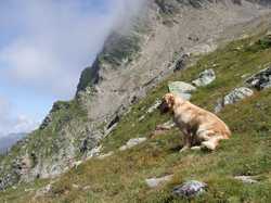 Pour agrandir l'image (1024x768 pixels; 195 KB)