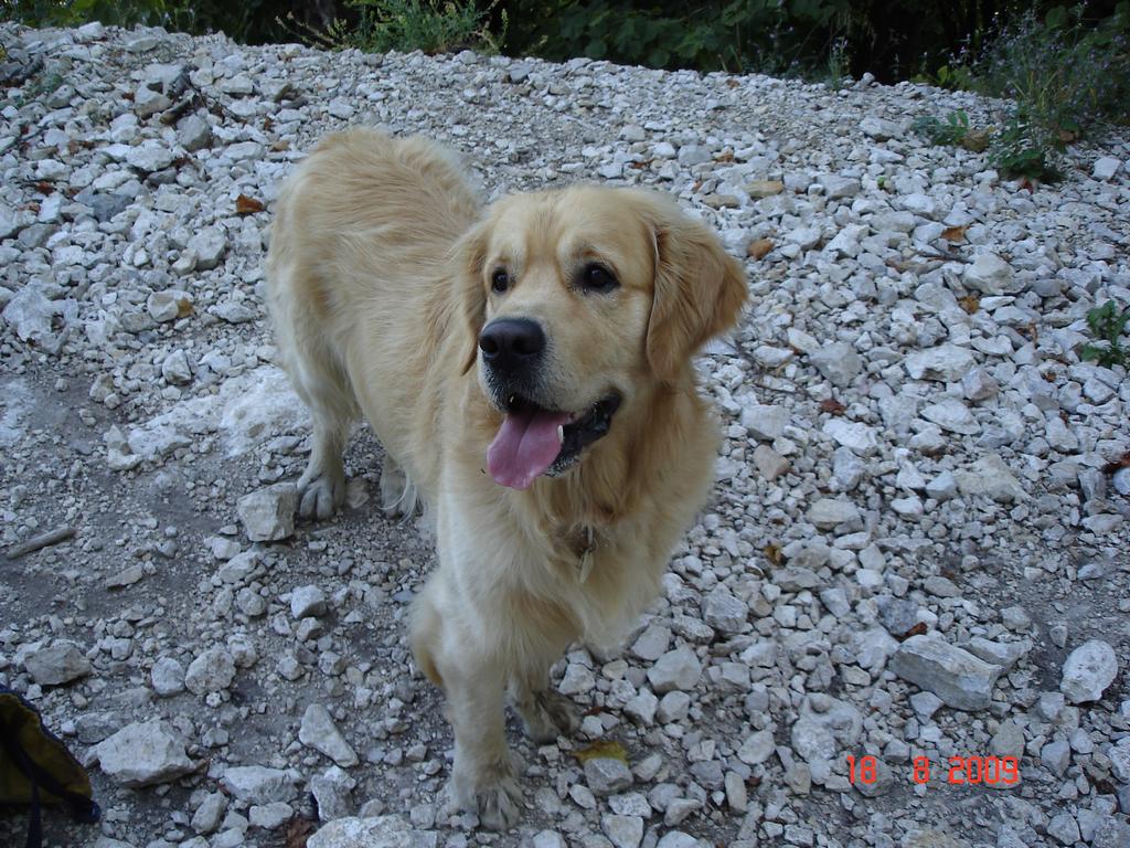 Pour l'image suivante