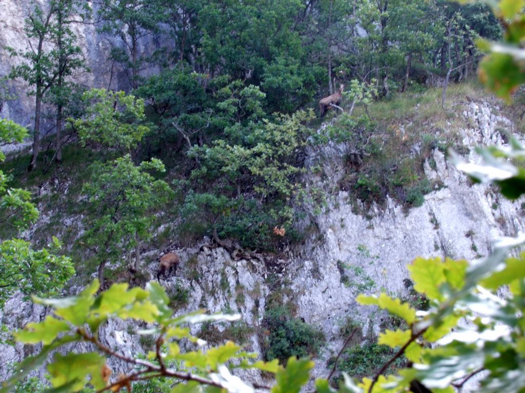 Pour l'image suivante