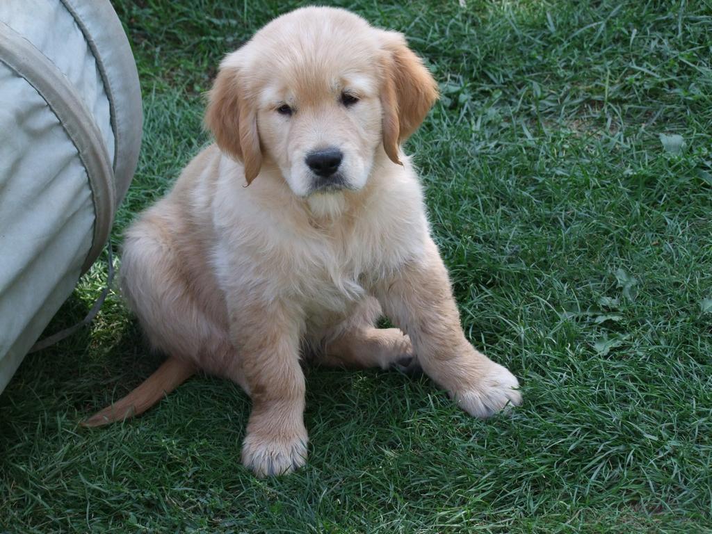 Pour l'image suivante