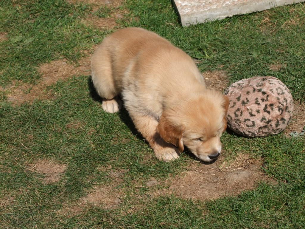 Pour l'image suivante