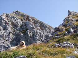 Pour agrandir l'image (1024x768 pixels; 205 KB)