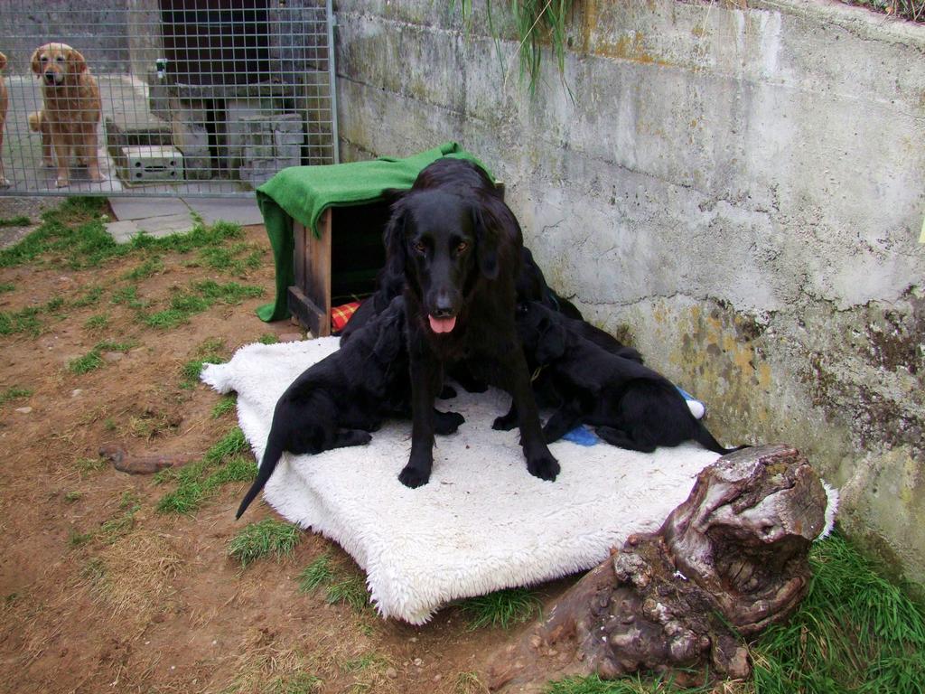 Pour l'image suivante