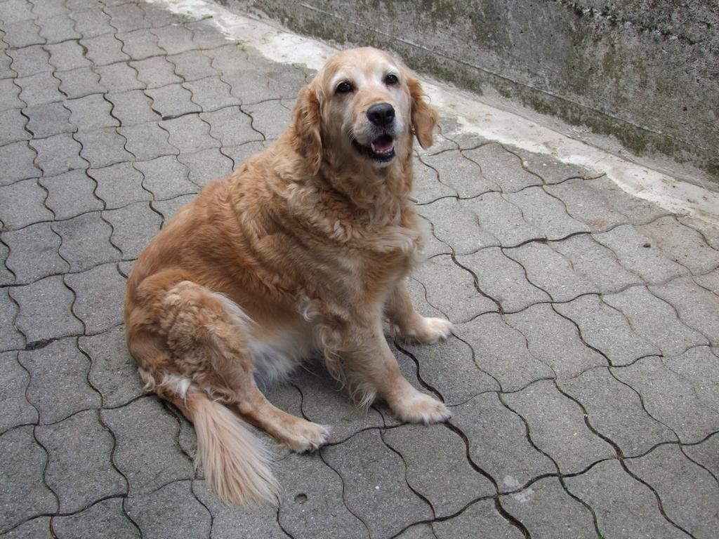 Pour l'image suivante