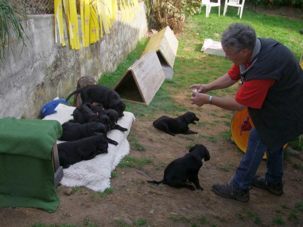 Pour l'image suivante