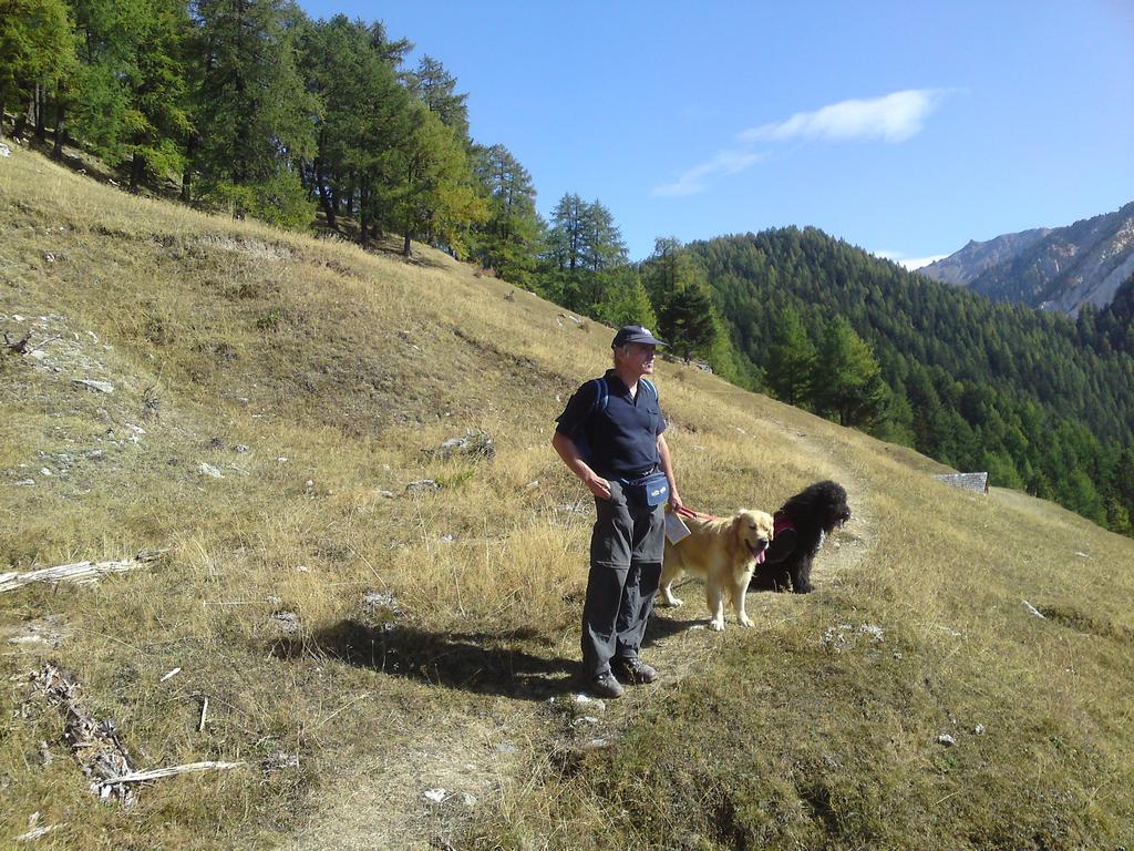 Pour l'image suivante