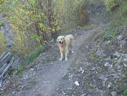 Pour agrandir l'image (1024x768 pixels; 246 KB)