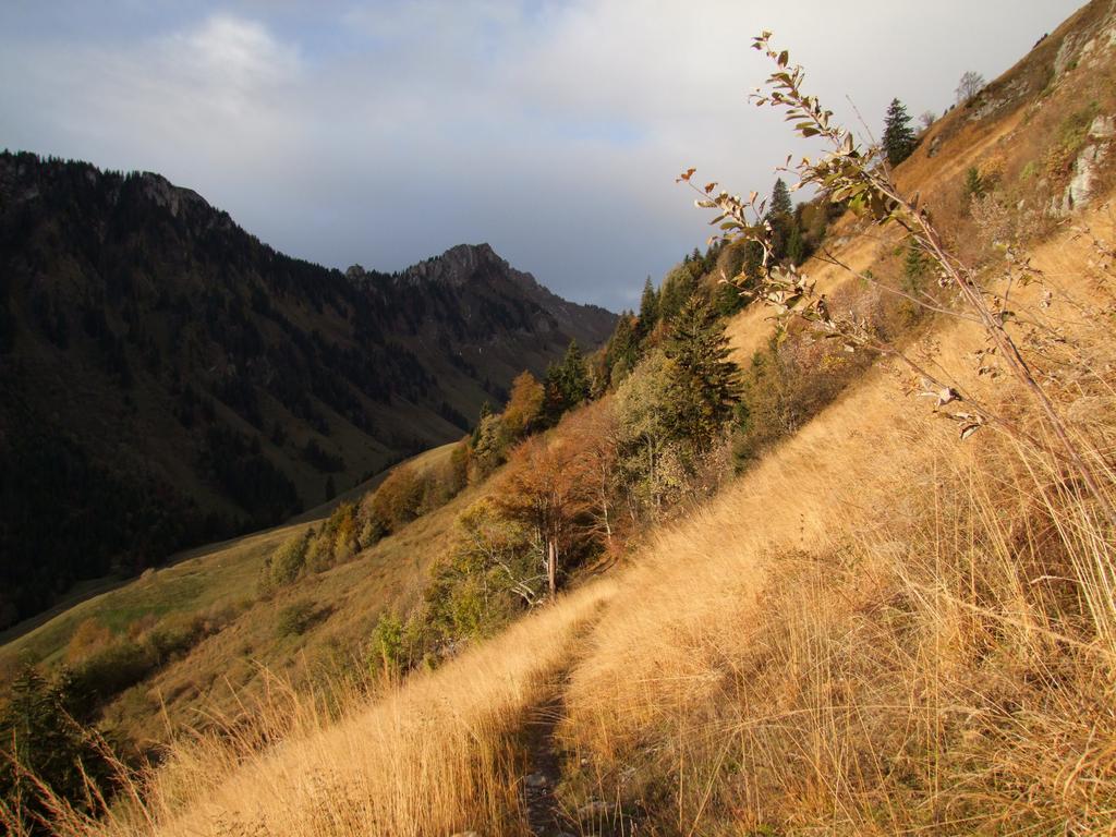 Pour l'image suivante