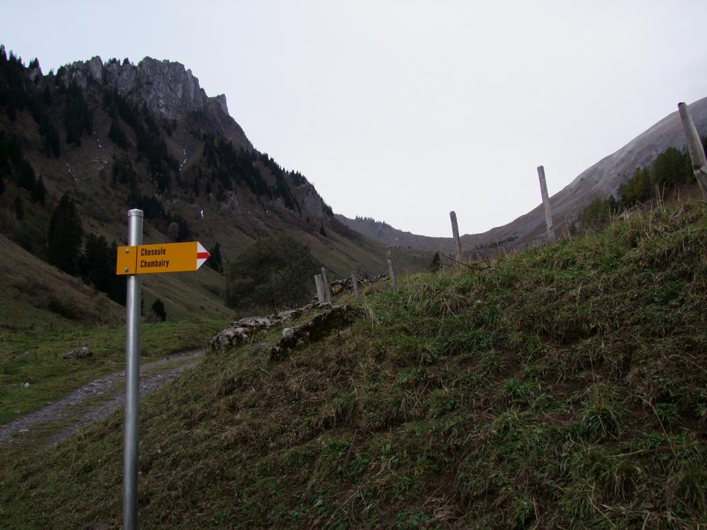 Pour l'image suivante