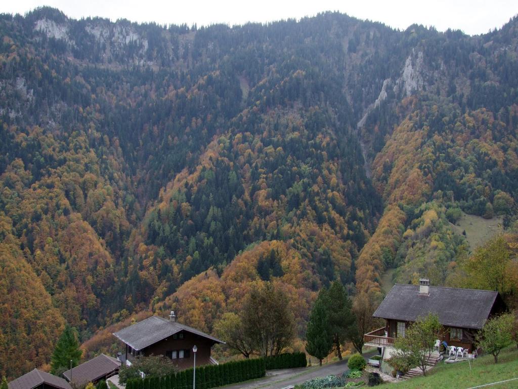 Pour l'image suivante