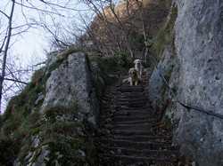 Pour agrandir l'image (1024x768 pixels; 200 KB)