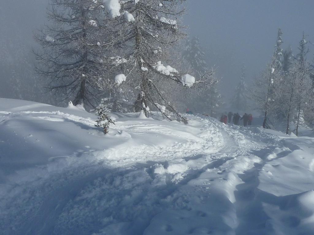 Pour l'image suivante