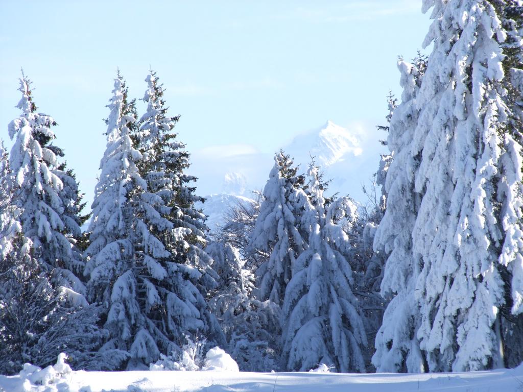 Pour l'image suivante