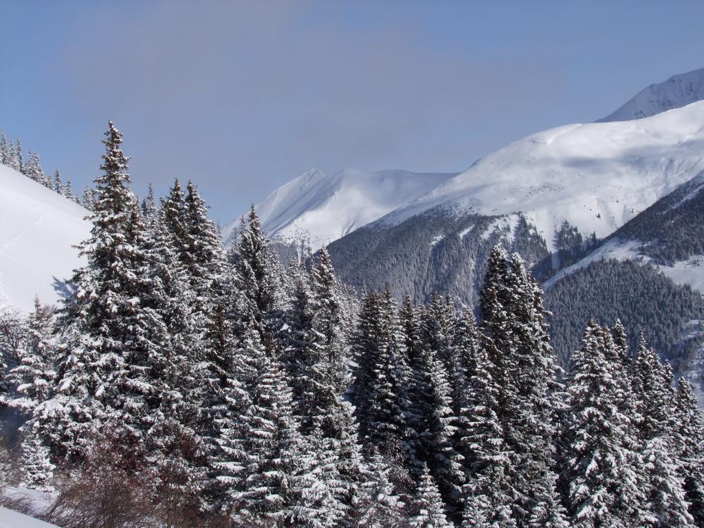 Pour l'image suivante