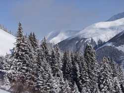 Pour agrandir l'image (1024x768 pixels; 200 KB)