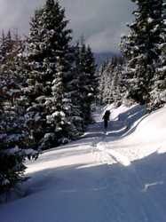 Pour agrandir l'image (576x768 pixels; 72 KB)