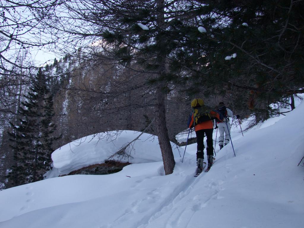 clic ici pour suivante