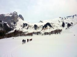 Clic pour agrandir l'image (1024x768 pixels; 80 KB)