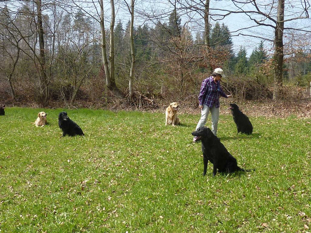 clic ici pour suivante