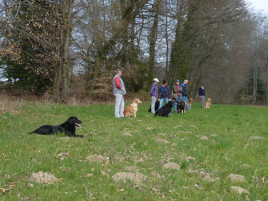 clic ici pour suivante