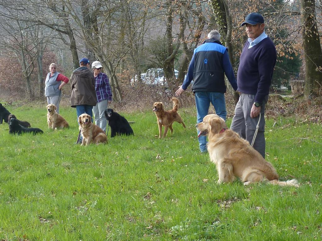 clic ici pour suivante