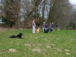 Clic pour agrandir l'image (1024x768 pixels; 222 KB)