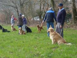 Clic pour agrandir l'image (1024x768 pixels; 204 KB)