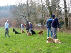 Clic pour agrandir l'image (1024x768 pixels; 230 KB)