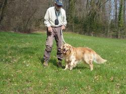 Clic pour agrandir l'image (1024x768 pixels; 220 KB)