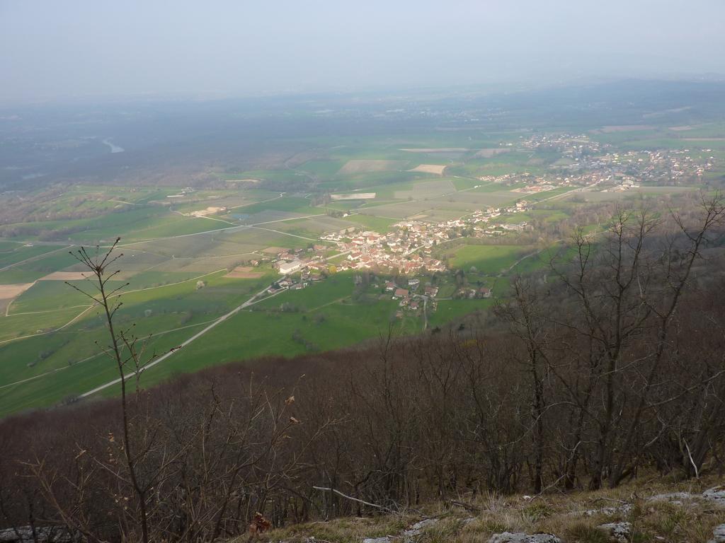 clic ici pour suivante