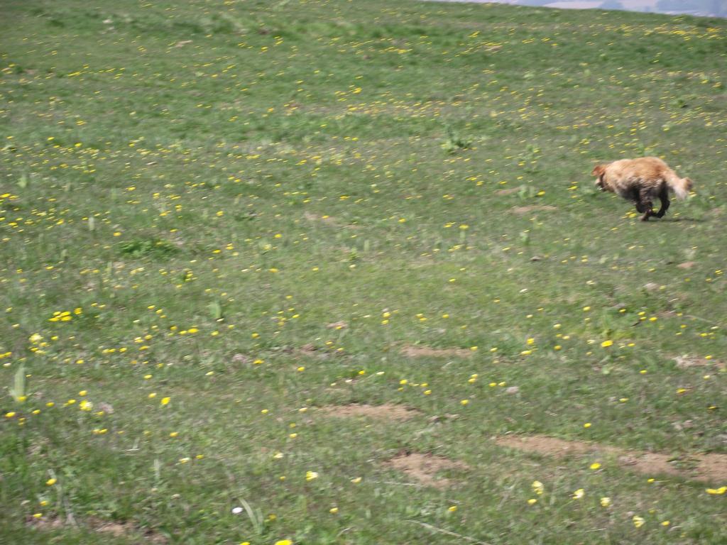 clic ici pour suivante