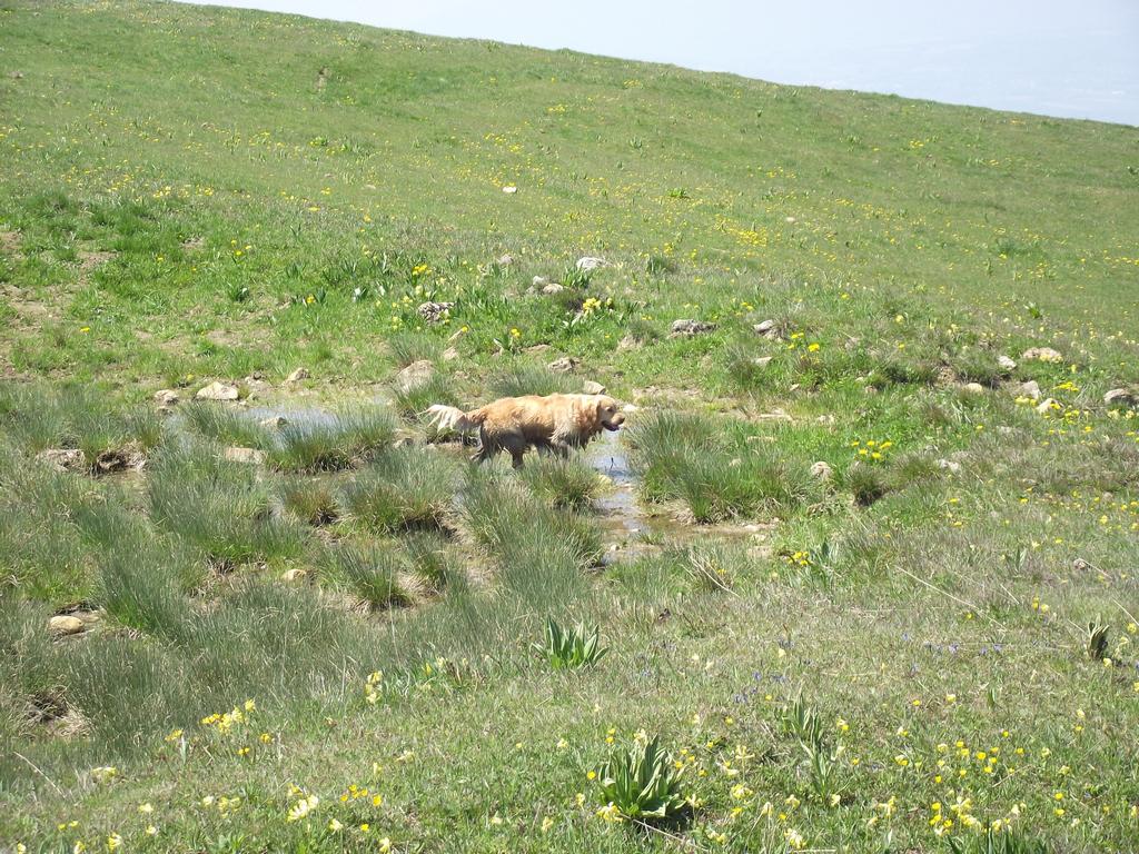 clic ici pour suivante