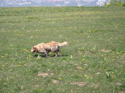 Clic pour agrandir l'image (1024x768 pixels; 214 KB)