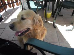 Clic pour agrandir l'image (1024x768 pixels; 124 KB)