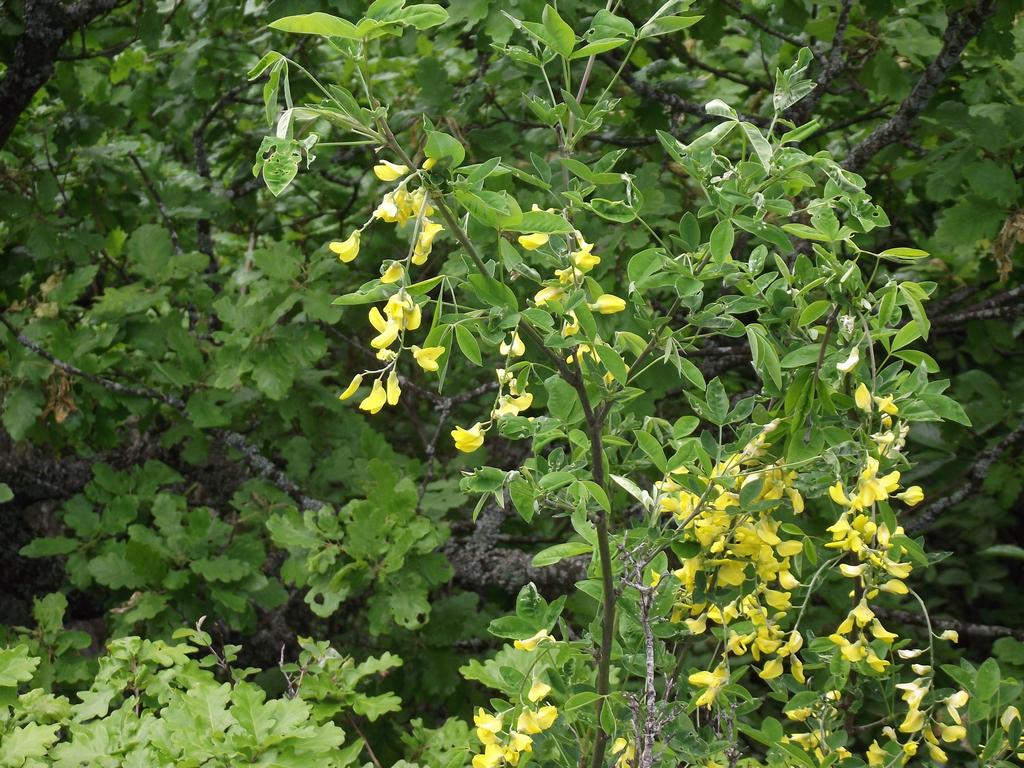 clic ici pour suivante