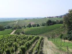 Clic pour agrandir l'image (1024x768 pixels; 157 KB)