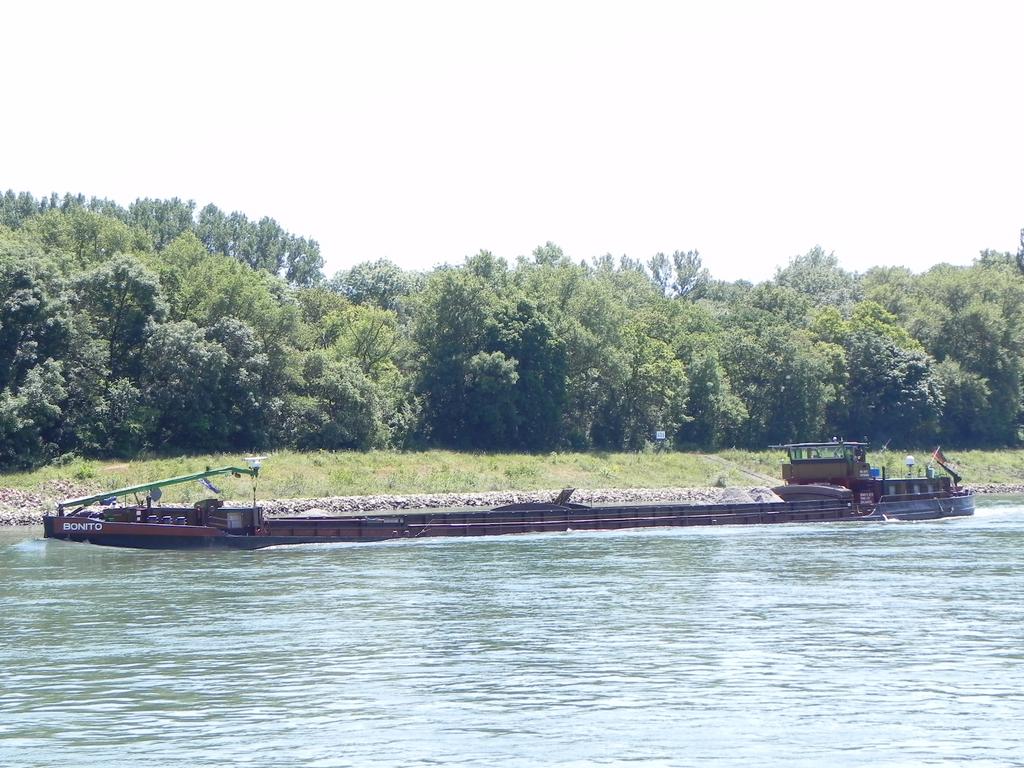 clic ici pour suivante